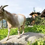 Glonerbauer